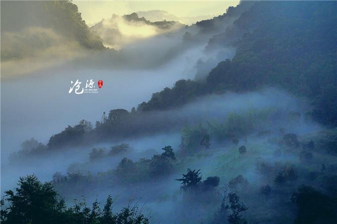蜜蜂向上跳