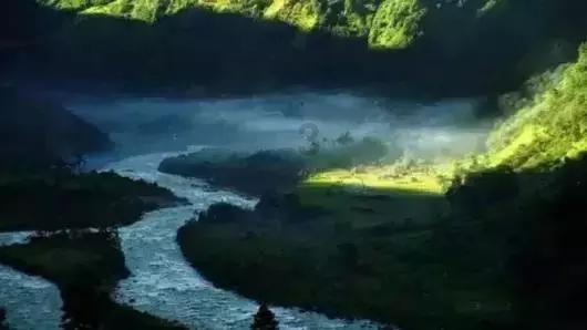 网球运动员营救