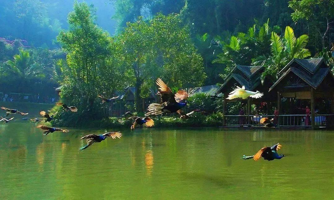 抓党建工作,促基层治理