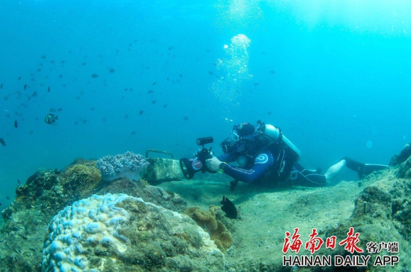 崂山热可乐为媒，青岛开启城市“宠粉”新模式