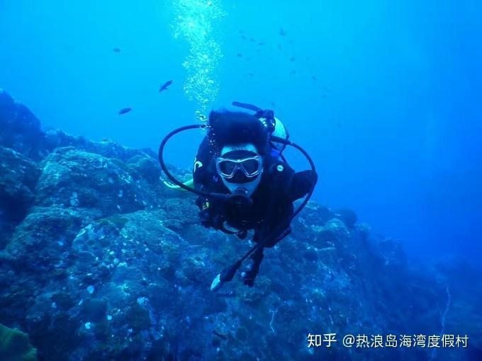 蒋劲夫六千九百万，杨紫一亿，天价片酬恐难平，繁花也被盯上？
