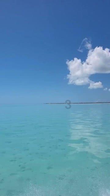 海滩宾馆逃生