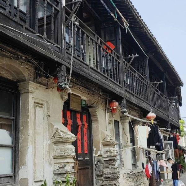 救援卷耳兔